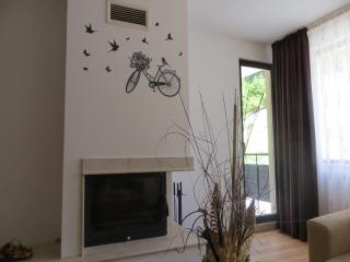 Apartment "Moni" - Pamporovo - 4