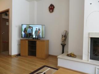 Apartment "Moni" - Pamporovo - 3