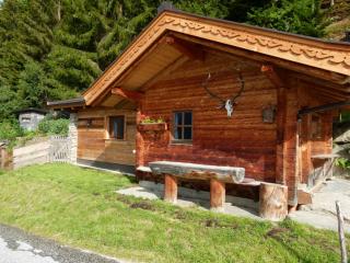 Sonnberg Apartment - Niedernsill - 9