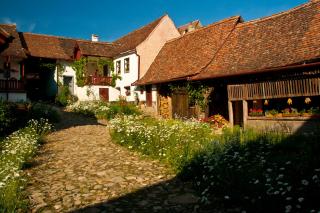 Casa cu zorele, Crit 189 - Criţ - 0