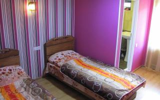 Ushguli Panorama Guest House - Ushguli - 1