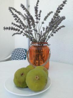 Apartmani Ante - Šibenik - 2