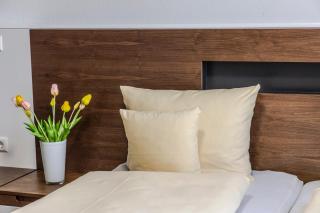 Hotel JÄGERHAUS in Singen am Hohentwiel - Singen - 1