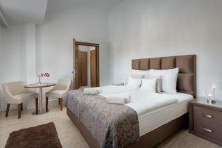 Botrytis Borhotel - Mád - 2