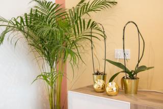 Your Lisbon Home - Duque de Palmela - Lisbona - 2