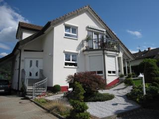 Ferienwohnung Wölfle - Friesenheim - 0