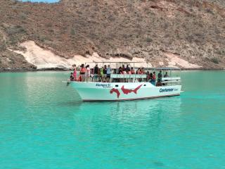 Club Cantamar Beach Hotel & Marina - La Paz - 3