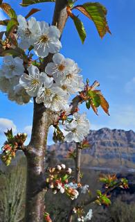 La Casuca Nandin - 4