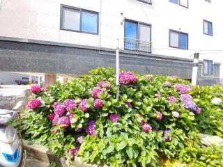 Seongsan Star Pension - Seogwipo - 7