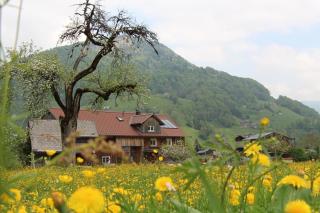 Ferienwohnung Vogt - Mellau - 6