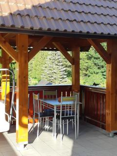 Nigritella - Kranjska Gora - 4