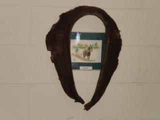 Grandeur Farm Retreat - 8