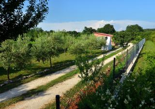 Sunset Garden House Vrsar - 2