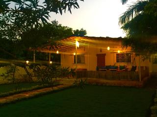 West Valley Farm Villa - Lavasa - 6