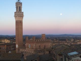Il NIDO - Siena - 0