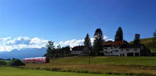 Gästehaus Grieser - 8