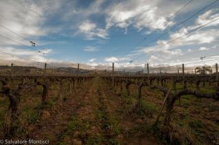 Casetta Singola vicino al Mare - 8