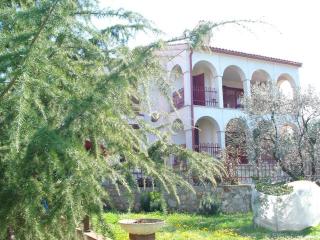 Apartments Jelena - 1