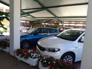 Apartments Davor - Biograd na Moru - 4