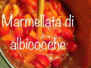 B&B Mamma Mia - Pisano - 4