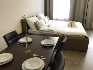 EURO APARTMENTS LIDICKÁ 39 BRNO - Brno - 9