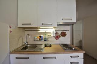Apartments and Room in Nature Setting - Matulji - 3