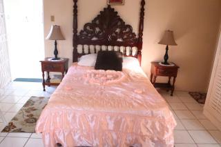 Country Manor Apartments - Ocho Rios - 6