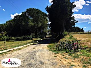 Podere La Pace - Vada - 3