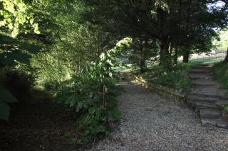 Spacious home in Bath, nature and city! - Bath - 2