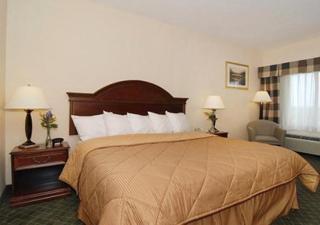 Comfort Inn East Windsor - Springfield - East Windsor - 4