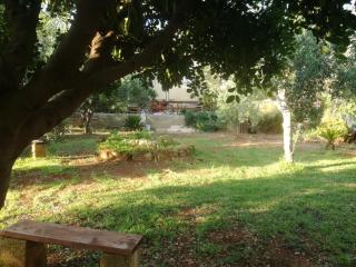 Aquilone - Castelluzzo - 4