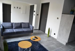 Le cyclade, appartement de standing en hyper-centre. - Sarreguemines - 0