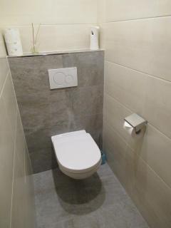 Neuner Charlotte incl Skidepot an der Hochzeigerbahn - 2