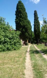 Agriturismo Bosco Fiorito - Muggia - 9