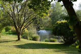Le Jardin Sauvage - 3