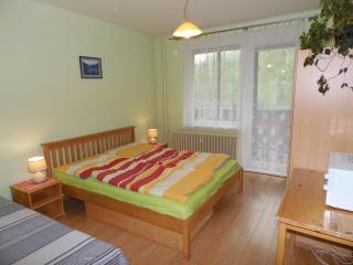 Apartmán Zdravie Horný Smokovec - Starý Smokovec - 0