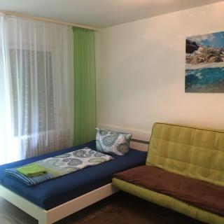 Apartment Schwarzwald - Lahr - 0