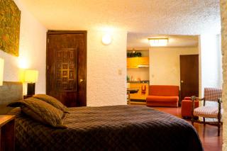 Suite 2B, Vista, Garden House, Welcome to San Angel - Città del Messico - 5