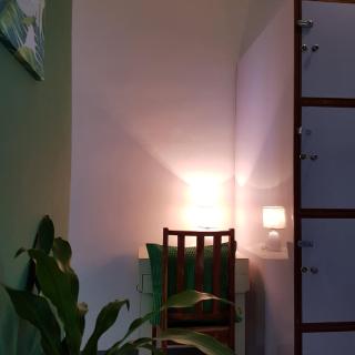Green Turtle Backpackers Guesthouse, Puerto Princesa - Puerto Princesa - 3