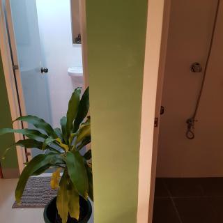 Green Turtle Backpackers Guesthouse, Puerto Princesa - Puerto Princesa - 2
