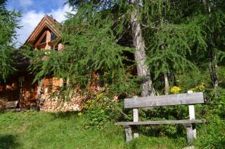 Almhaus Völkl - Ramingstein - 6