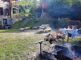 Cabana Soarelui Retezat - Nucşoara - 6