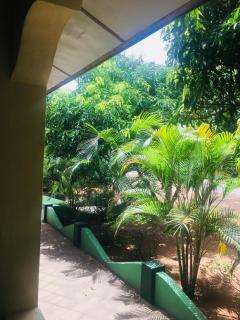 New Land Guest House - Pasikuda - 2