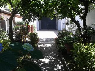 Il Giardino degli Agrumi - Caserta - 8