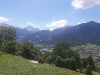 Hofschank Reinalterhof - Malles Venosta - 3