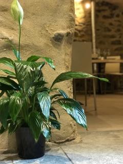 B&B Osteria Morganti - 4