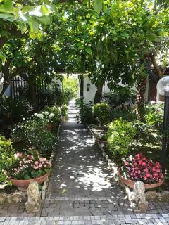 Residenza Caserta Sud - Appartamento con giardino - Caserta - 7