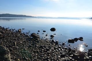 Best Western Plus Silverdale Beach Hotel - 9