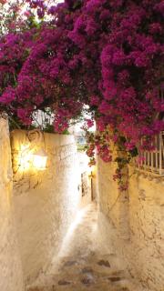 8 oDa Marmaris - Marmaris - 8