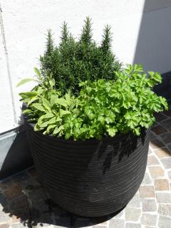 Laagers Hotel Garni - 4